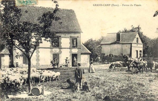 Grand-Camp - Ferme du Plessis