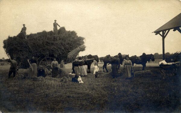 St-Aubin-le-Vertueux - Une cour de ferme