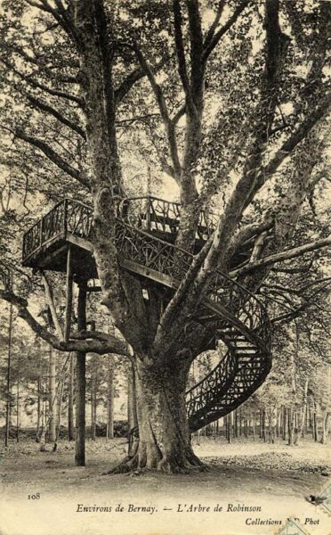 St-Léger-de-Rostes - L'arbre de Robinson