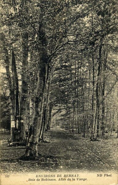 St-Léger-de-Rostes - Bois de Robinson