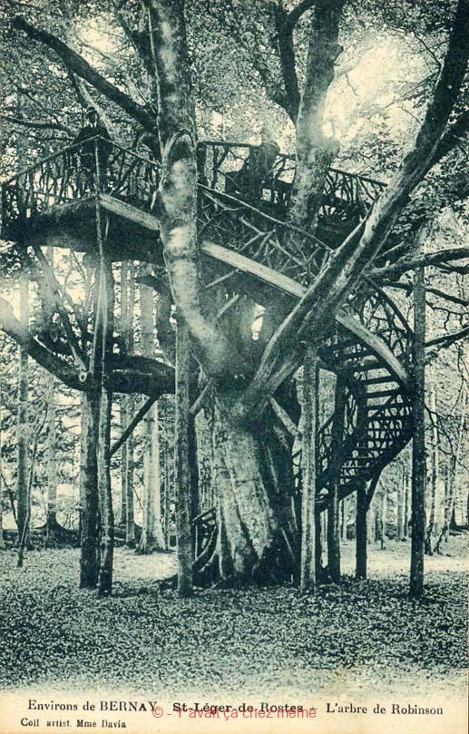 St-Léger-de-Rostes - L'arbre de Robinson