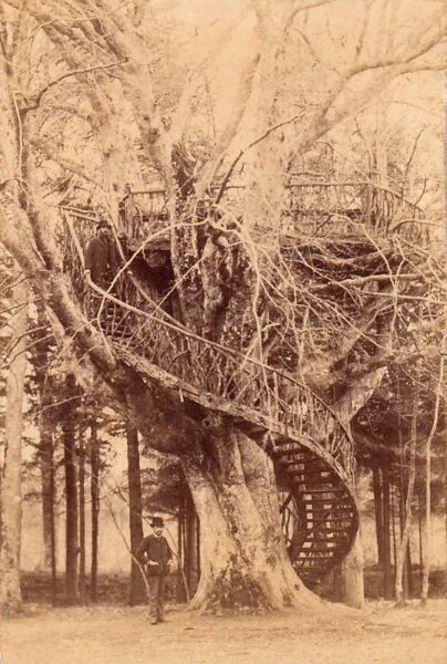 St-Léger-de-Rostes - Le Robinson de Saint-Léger