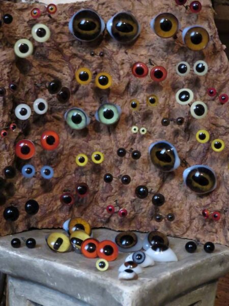 Cabinet de curiosités - Yeux pour taxidermiste