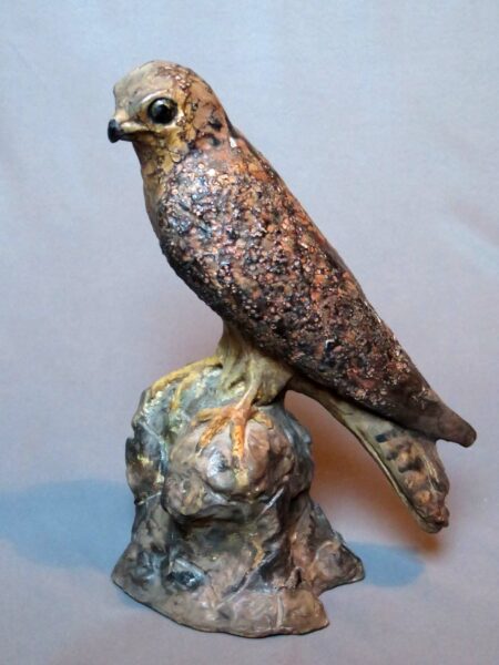 Épervier - Terre cuite