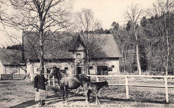 Haras de Menneval 1907 - Isabelle et sa pouliche par Alençon